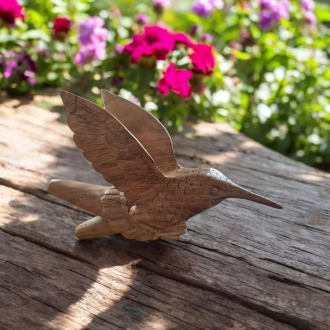 Kuripe Colibri Crocodile